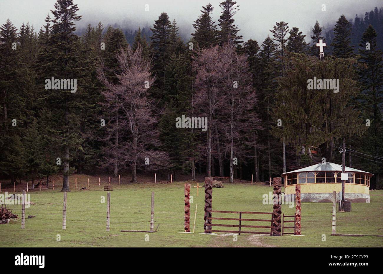 Prahova County, Rumänien, 2001. Die wundersame Kiefer auf dem Gelände des Caraiman-Klosters. Stockfoto