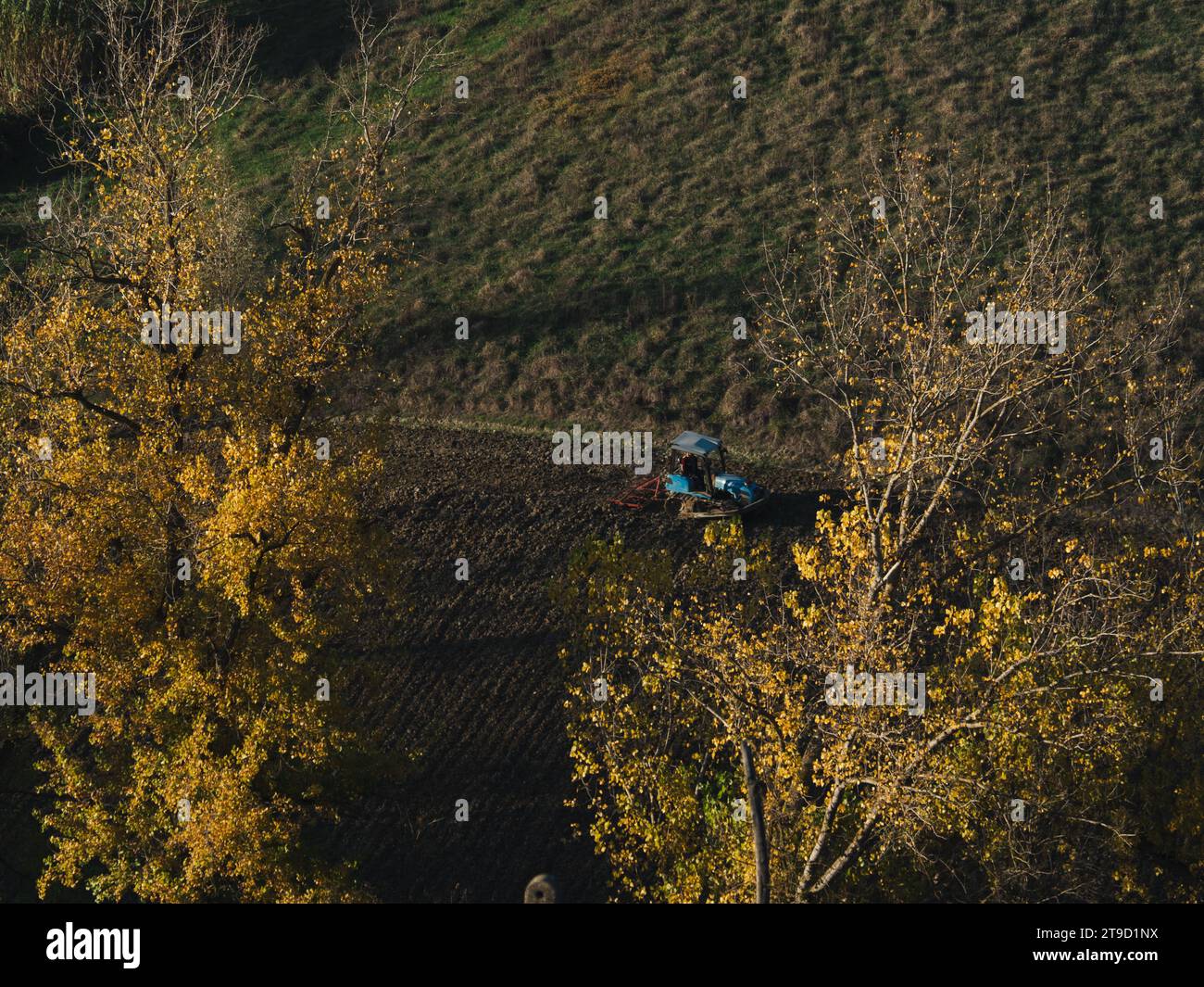 Ein gekrabbelter Traktor pflügt trockenen Boden auf dem Hügel des Arda-Tals, Italien, um während der Herbstsaison im november Weizen zu säen Stockfoto