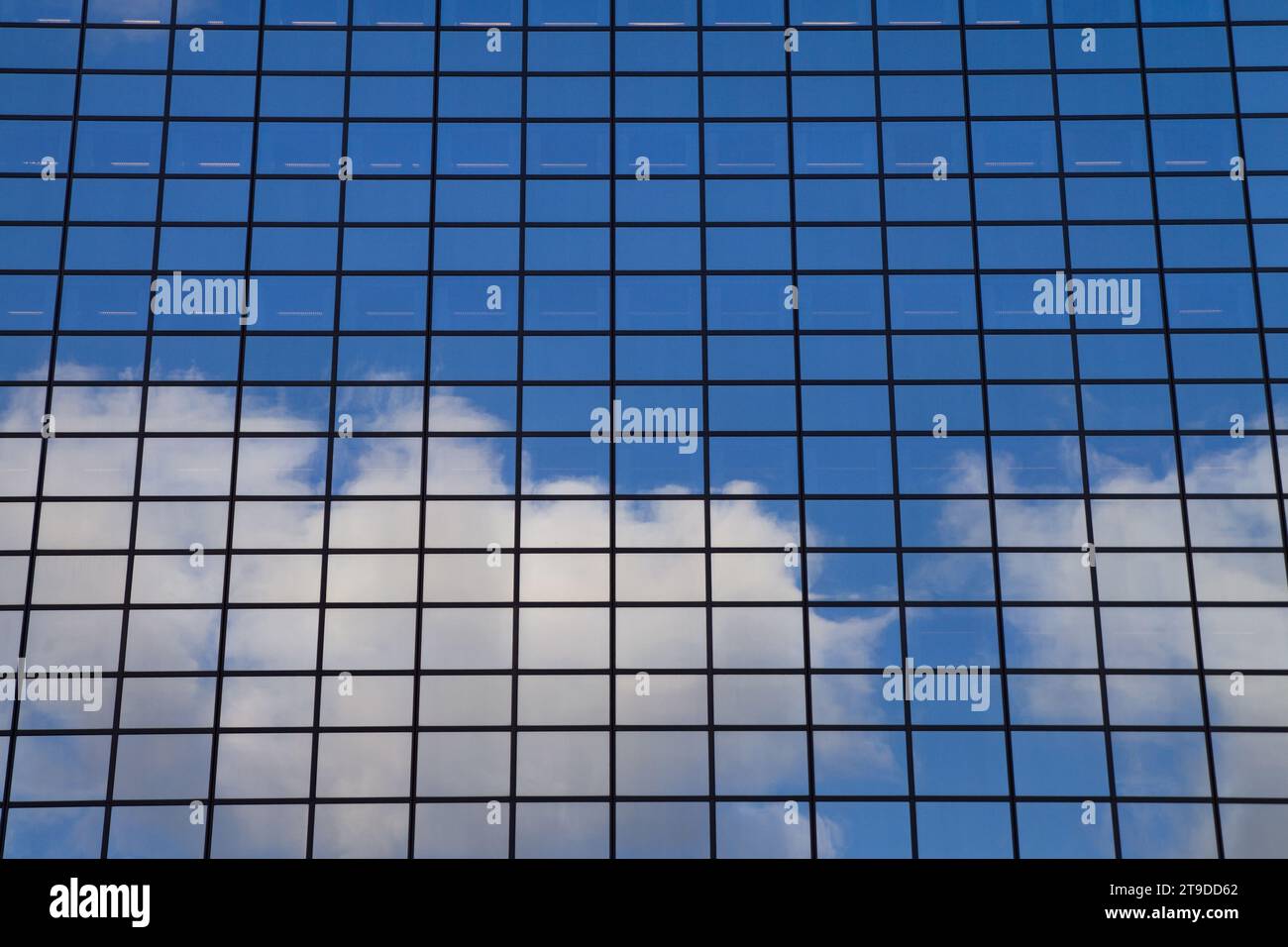 Stadtlandschaft - Blick von unten auf Glashochhäuser mit reflektiertem Himmel in den Fenstern auf die Stadt Rotterdam, Niederlande Stockfoto