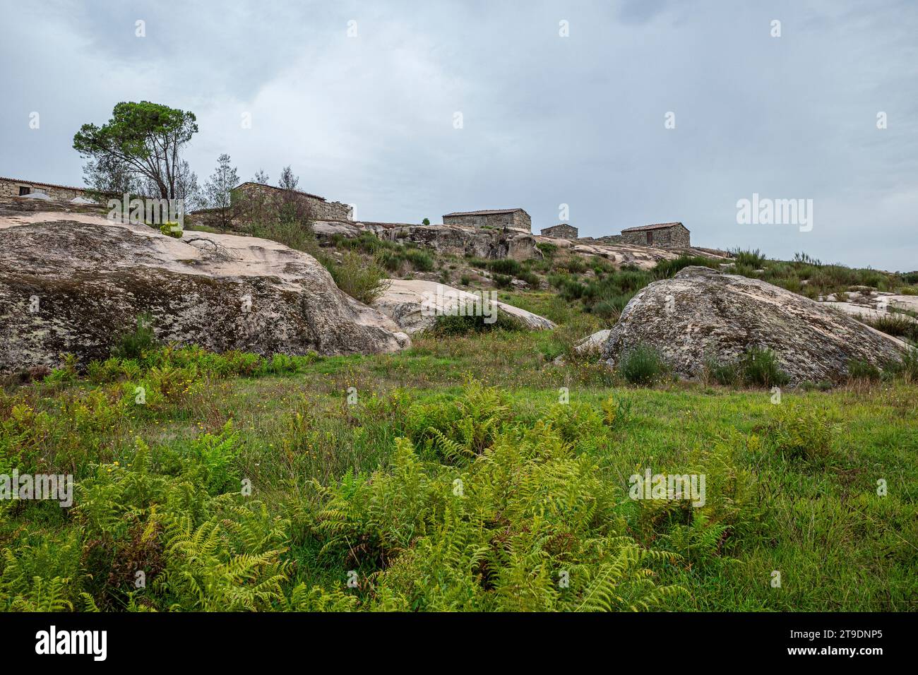 Fiais da Beira - Bezirk Coimbra Stockfoto