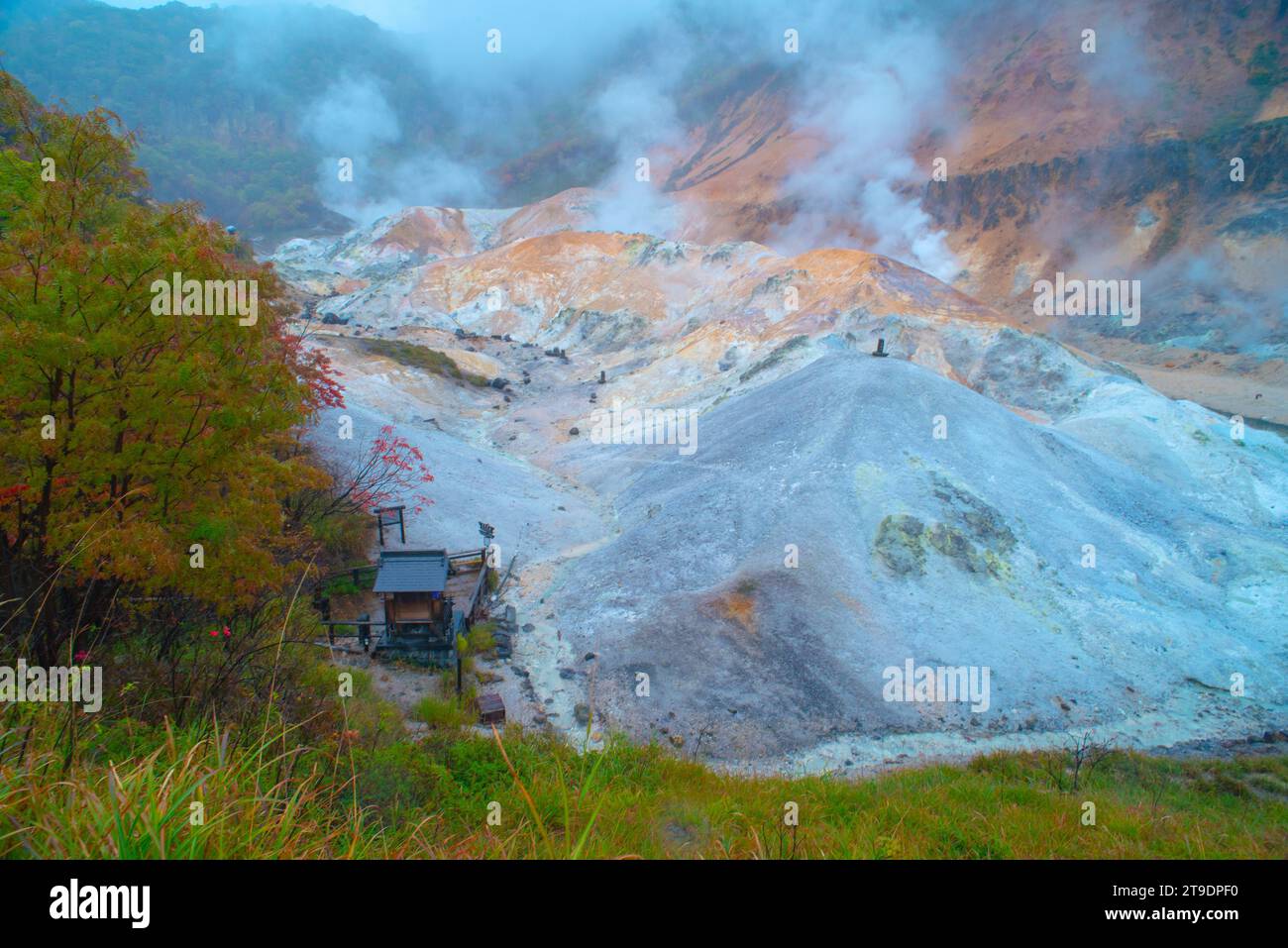 Jigokudani oder Hell Valley, Noboribetsu Onsen, heiße Dampfdüsen, schwefelhaltige Bäche und andere vulkanische Aktivitäten, heiße Quellwässer, Hokkaido, Japan Stockfoto