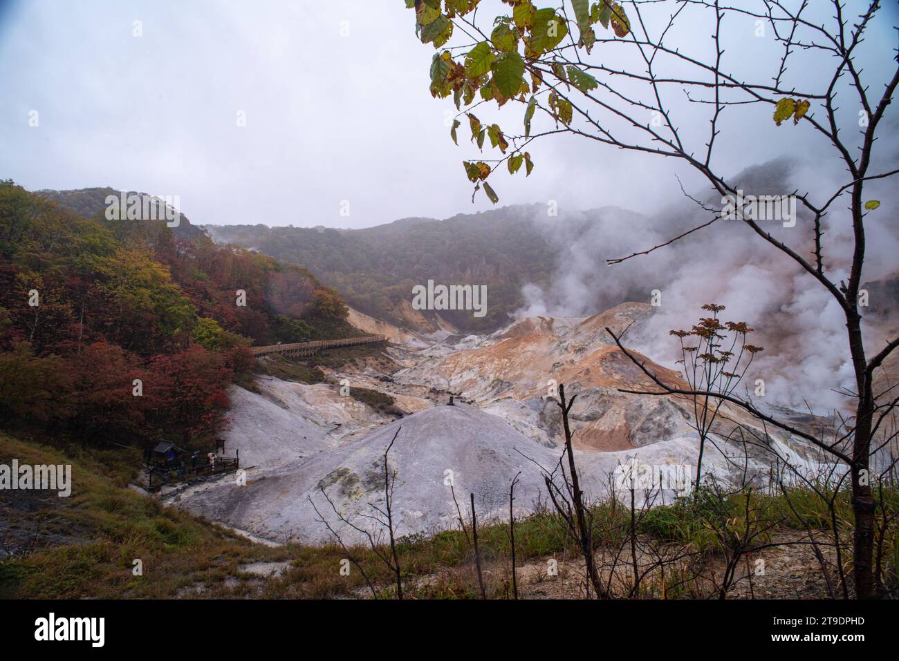 Jigokudani oder Hell Valley, Noboribetsu Onsen, heiße Dampfdüsen, schwefelhaltige Bäche und andere vulkanische Aktivitäten, heiße Quellwässer, Hokkaido, Japan Stockfoto