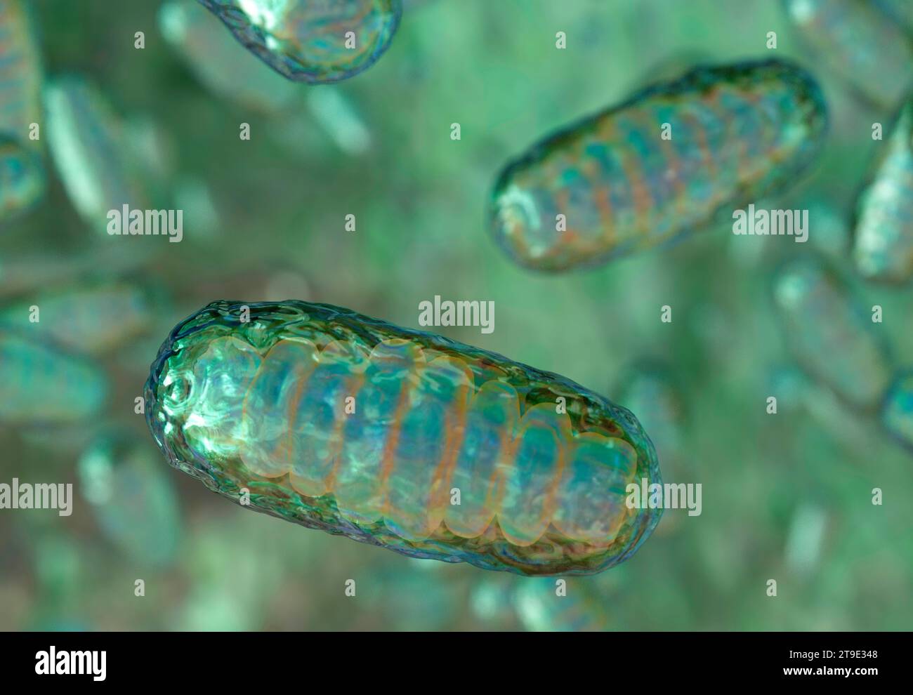 Mitochondrien-Kunstwerke Stockfoto