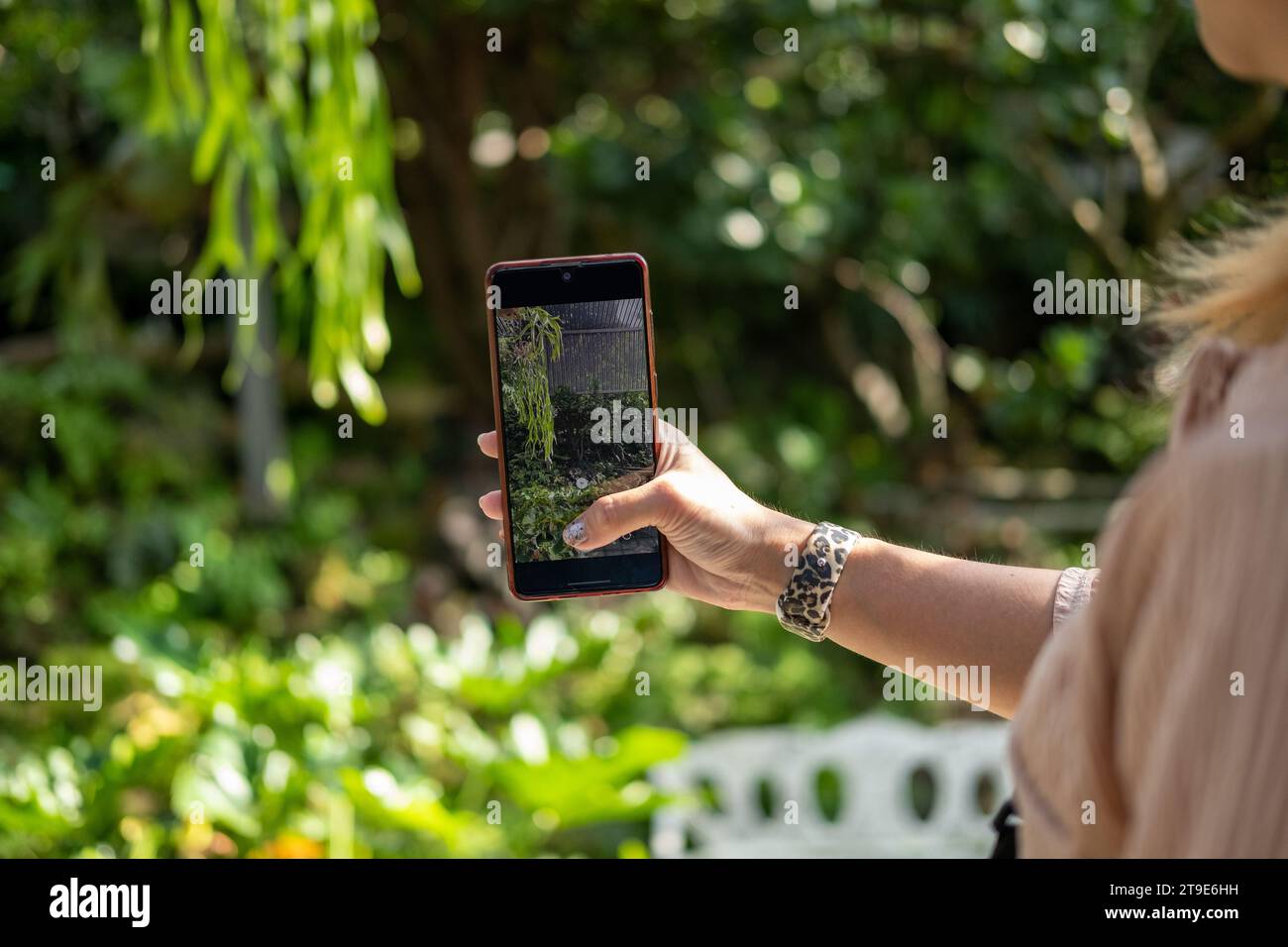 Die Hand einer Frau, die ein Handy hält und Fotos von einem botanischen Garten macht Stockfoto