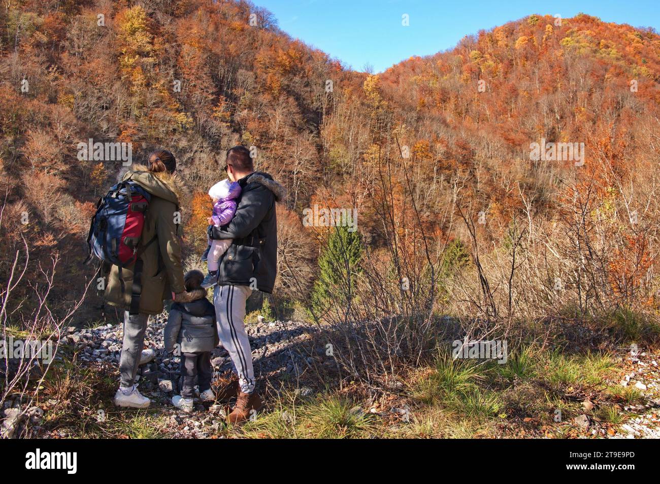 Junge Familie mit Baby und Kleinkind, die im Wald wandern Stockfoto