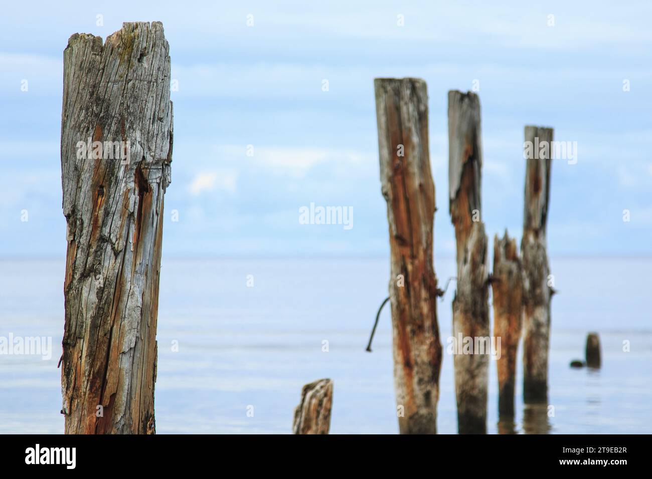 Eine wunderschöne Aufnahme einer ruhigen Meereslandschaft mit gebrochenen Pier-Pfählen, die aus dem Wasser ragen, auf dem Horizont. Stockfoto