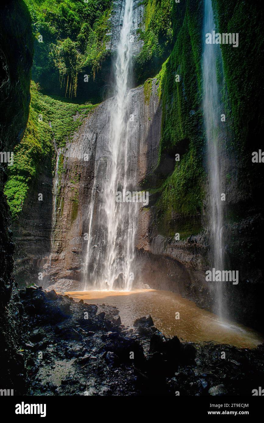 Der Madakaripura-Wasserfall ist der höchste Wasserfall in Java und der zweithöchste Wasserfall in der Bromo-Berggegend in Indonesien. Stockfoto