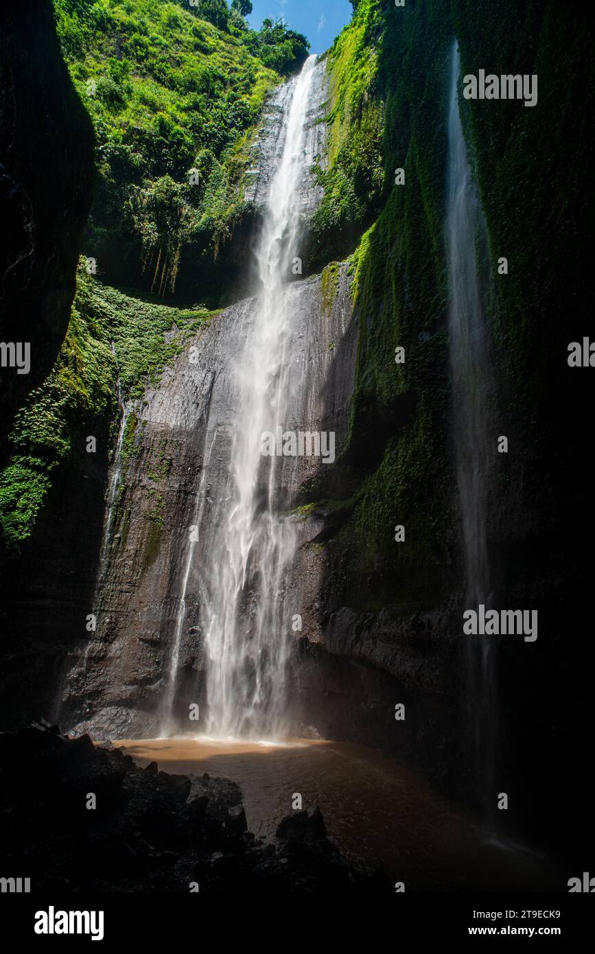 Der Madakaripura-Wasserfall ist der höchste Wasserfall in Java und der zweithöchste Wasserfall in der Bromo-Berggegend in Indonesien. Stockfoto