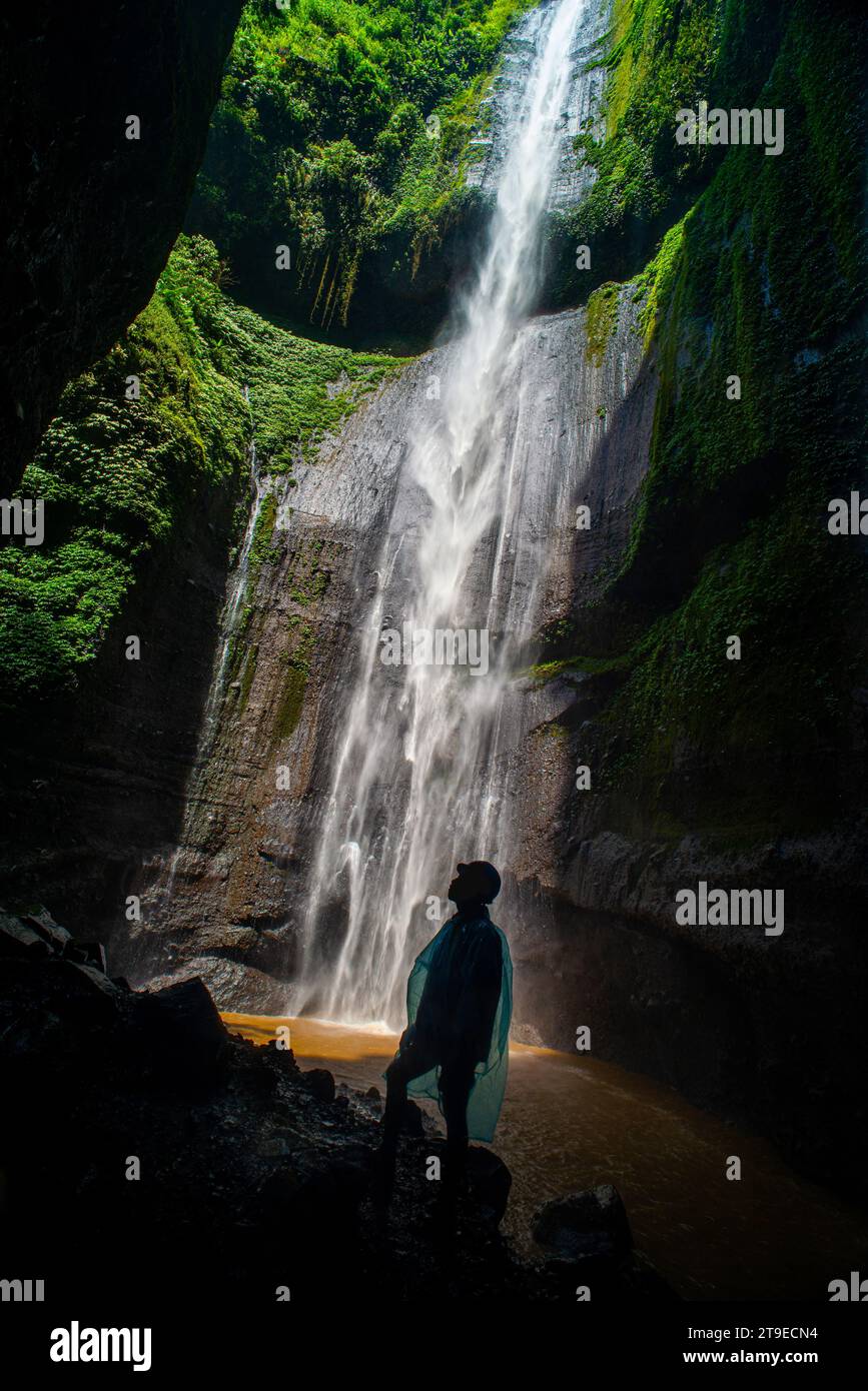 Der Madakaripura-Wasserfall ist der höchste Wasserfall in Java und der zweithöchste Wasserfall in der Bromo-Berggegend in Indonesien. Stockfoto
