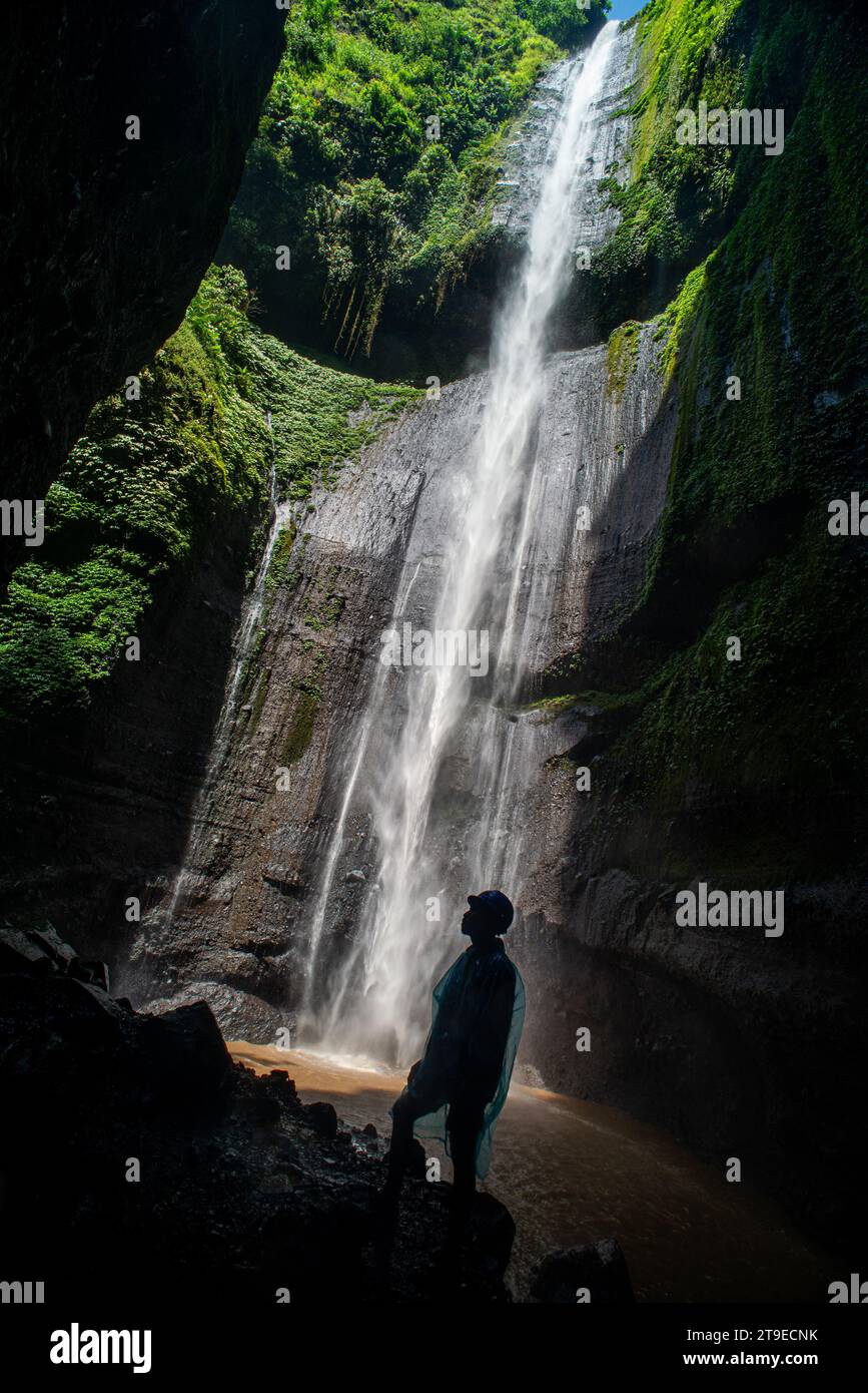 Der Madakaripura-Wasserfall ist der höchste Wasserfall in Java und der zweithöchste Wasserfall in der Bromo-Berggegend in Indonesien. Stockfoto
