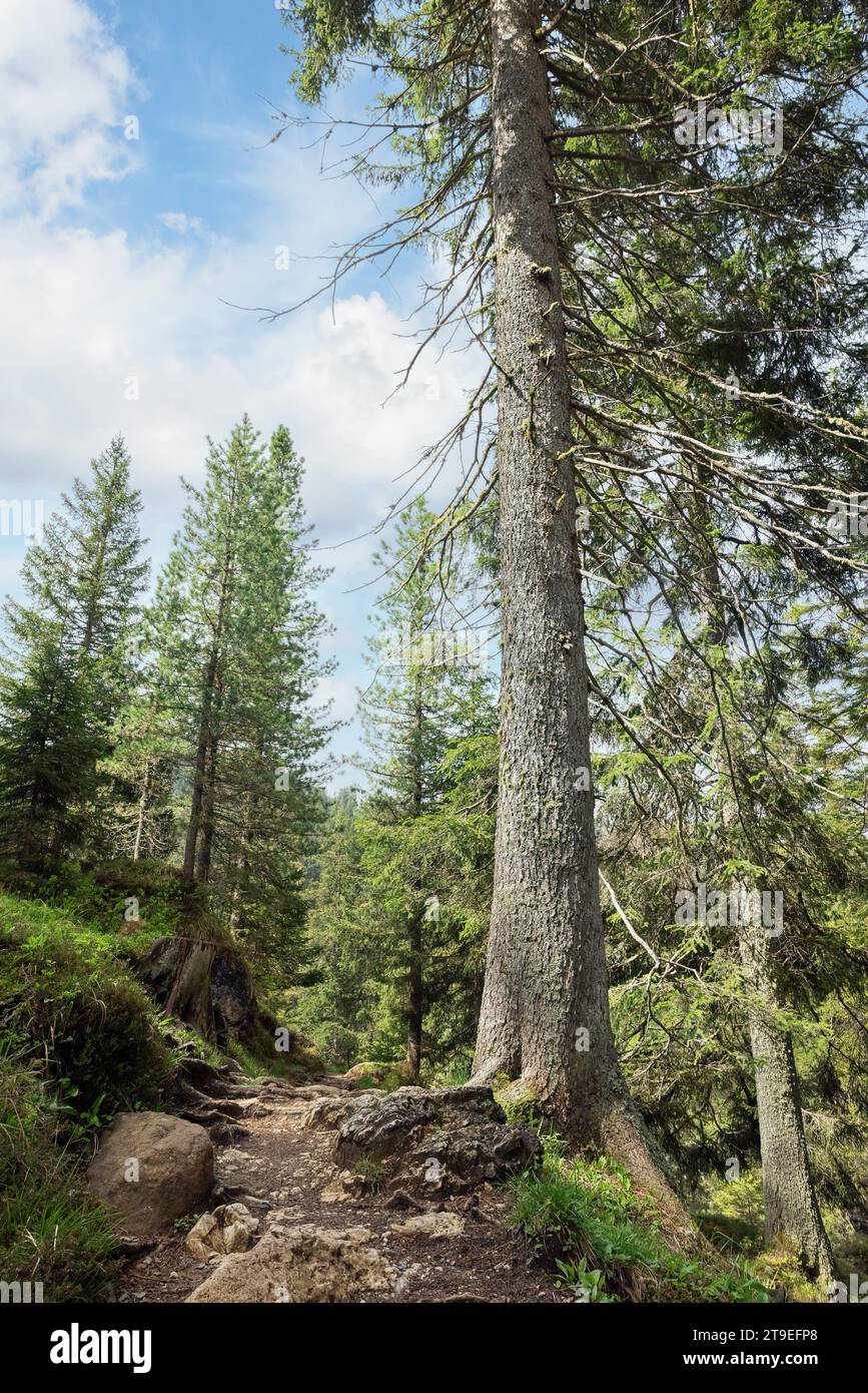 Landschaftskino delle Geisler in den italienischen Alpen Stockfoto