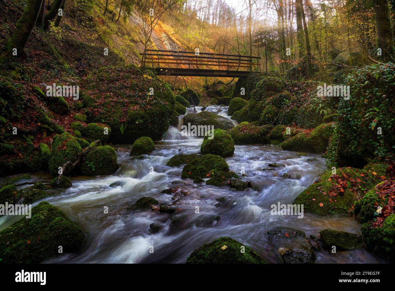 die schweiz, das Tal, die Schlucht, die Schlucht, die Schlucht, Chasteltal, Fluss, Bach, Chastelbachtal, Grellingen, Himmelried, Laufental, Baselland Stockfoto