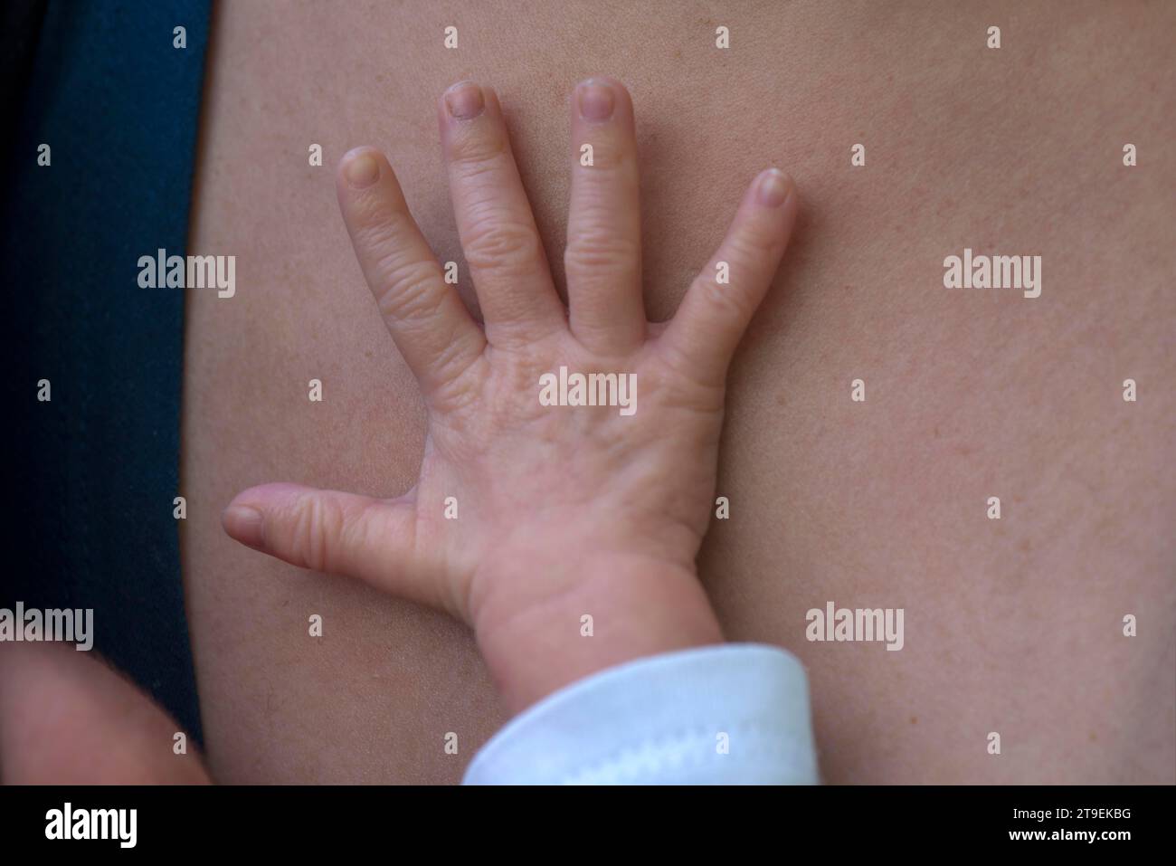 Die Hand des Babys auf die Haut der Mutter spreizen, Mecklenburg-Vorpommern, Deutschland Stockfoto