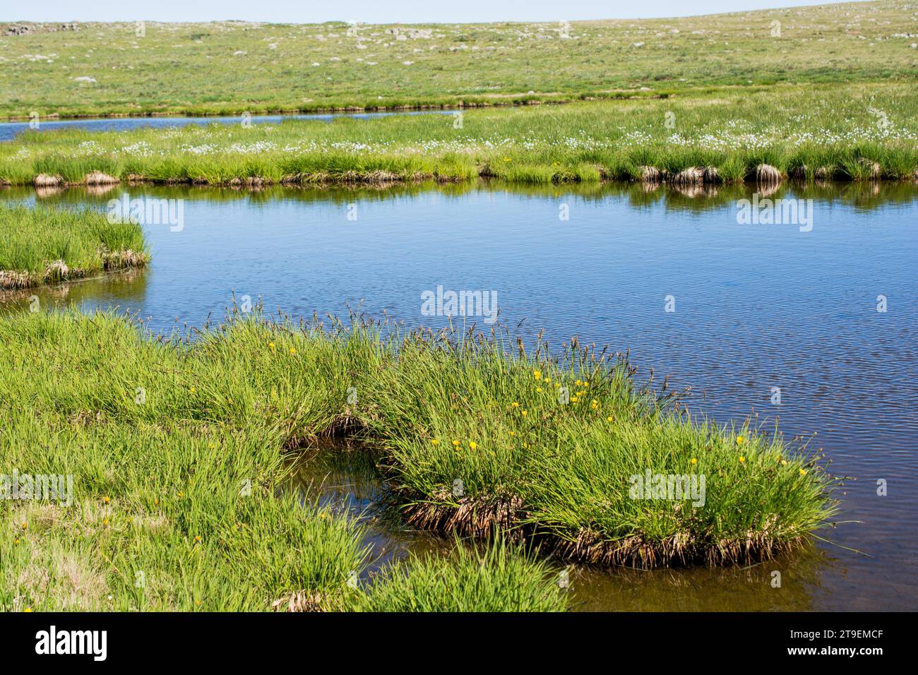 Highland Lake in grünen natürlichen Hintergrund in Artvin Provinz der Türkei Stockfoto