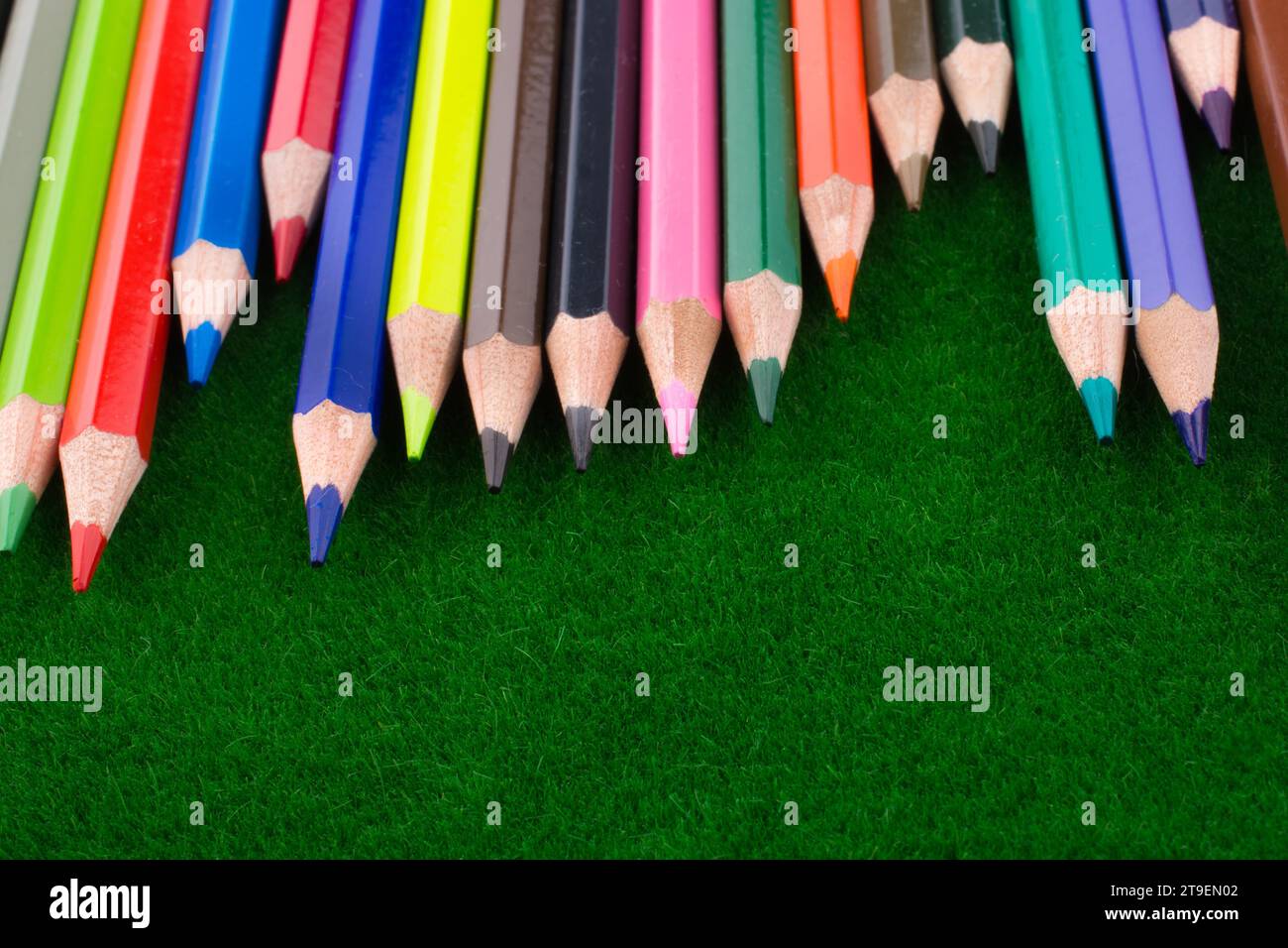 Bunte Bleistifte auf Kunstrasen Stockfoto