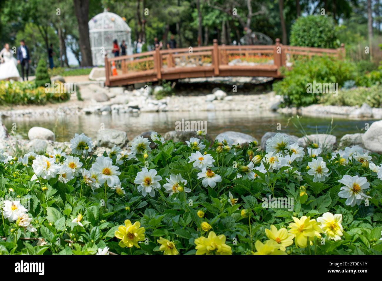 Schönen bunten Blumengarten mit verschiedenen Blumen Stockfoto