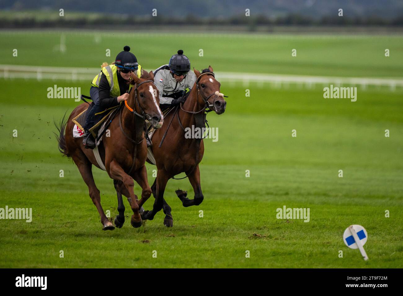 Bermingham Cameras sponserte Harty Racing Horses trainieren auf den Galopps der Curragh, Co. Kildare, Irland. Stockfoto