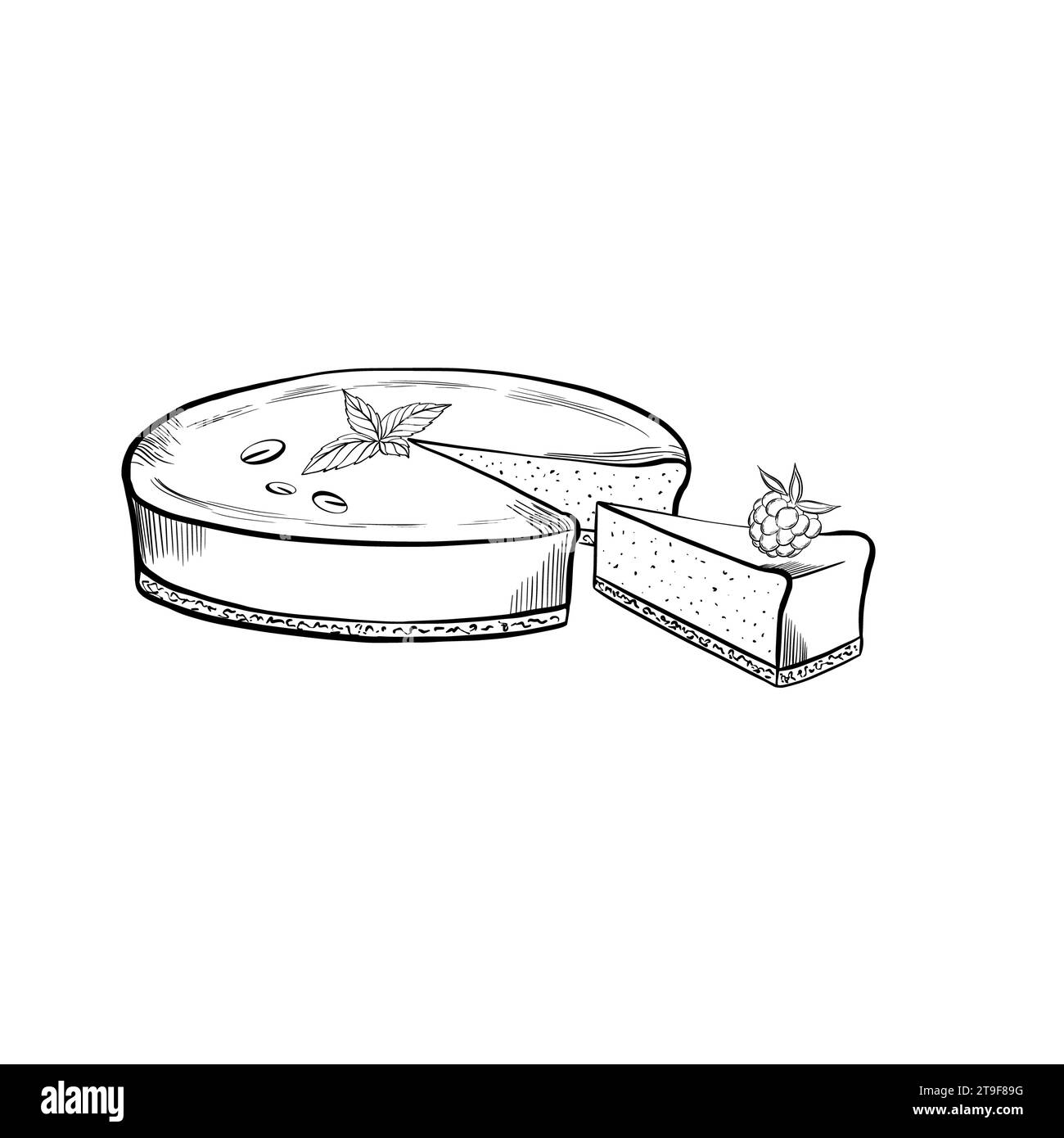 Käsekuchen und Scheiben mit Minze und Beere. Vektorabbildung. Grapgischer STYLE. Handgezeichnet in einem einfachen minimalistischen Stil. Kann für Küche, Notizen verwendet werden Stock Vektor