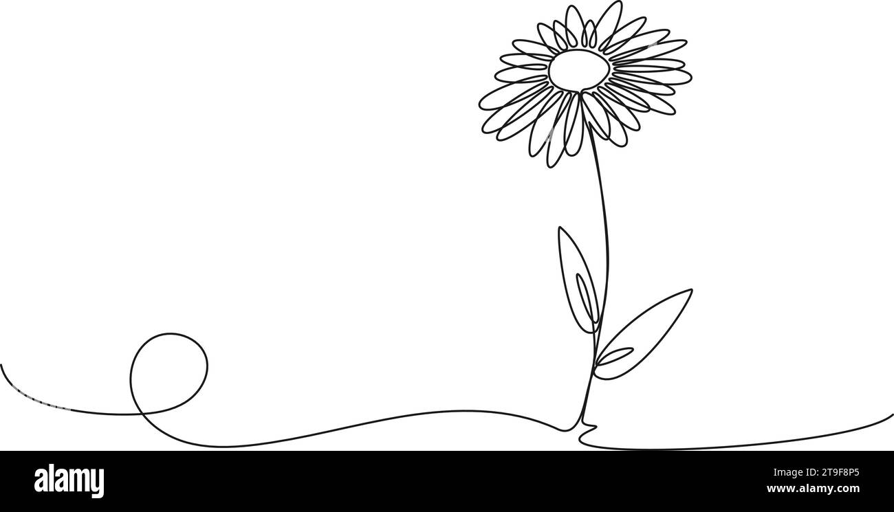 Durchgehende einzeilige Zeichnung der Gänseblümchenblume, Linie Art Vektor Illustration Stock Vektor