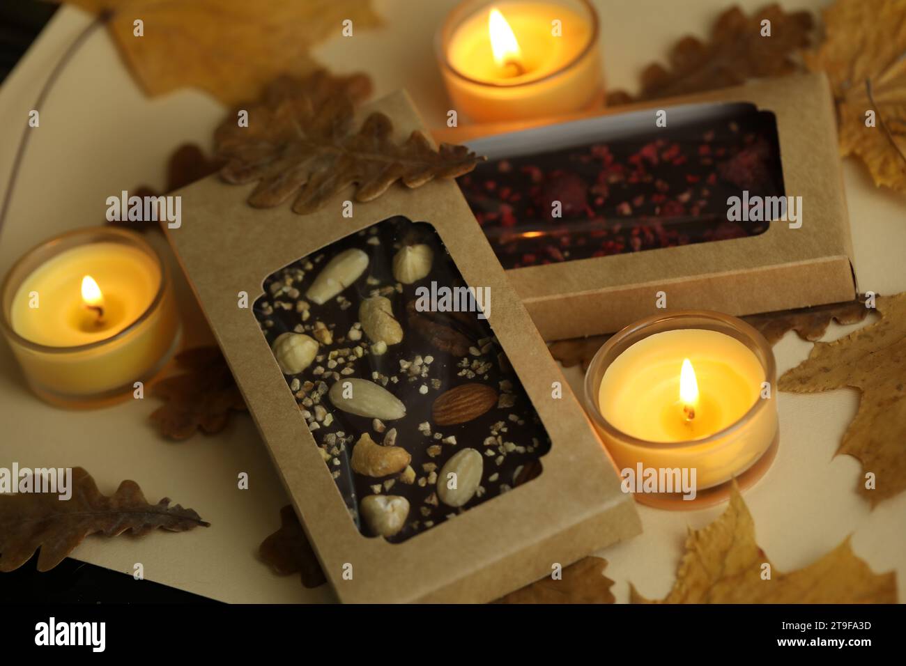 Hausgemachte Schokolade mit Herbsthintergrund Stockfoto
