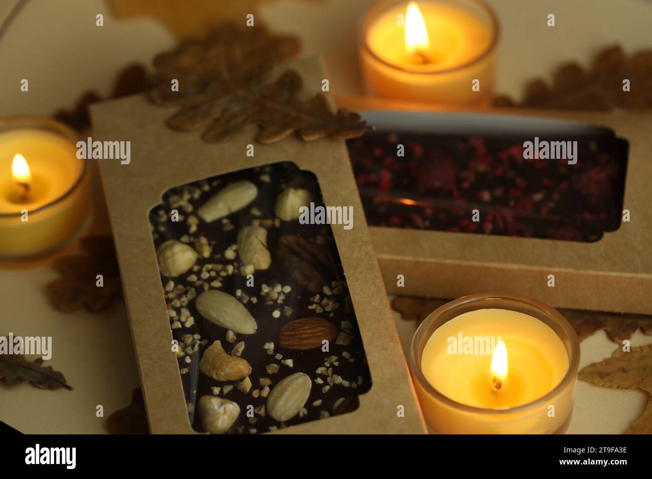 Hausgemachte Schokolade mit Herbsthintergrund Stockfoto