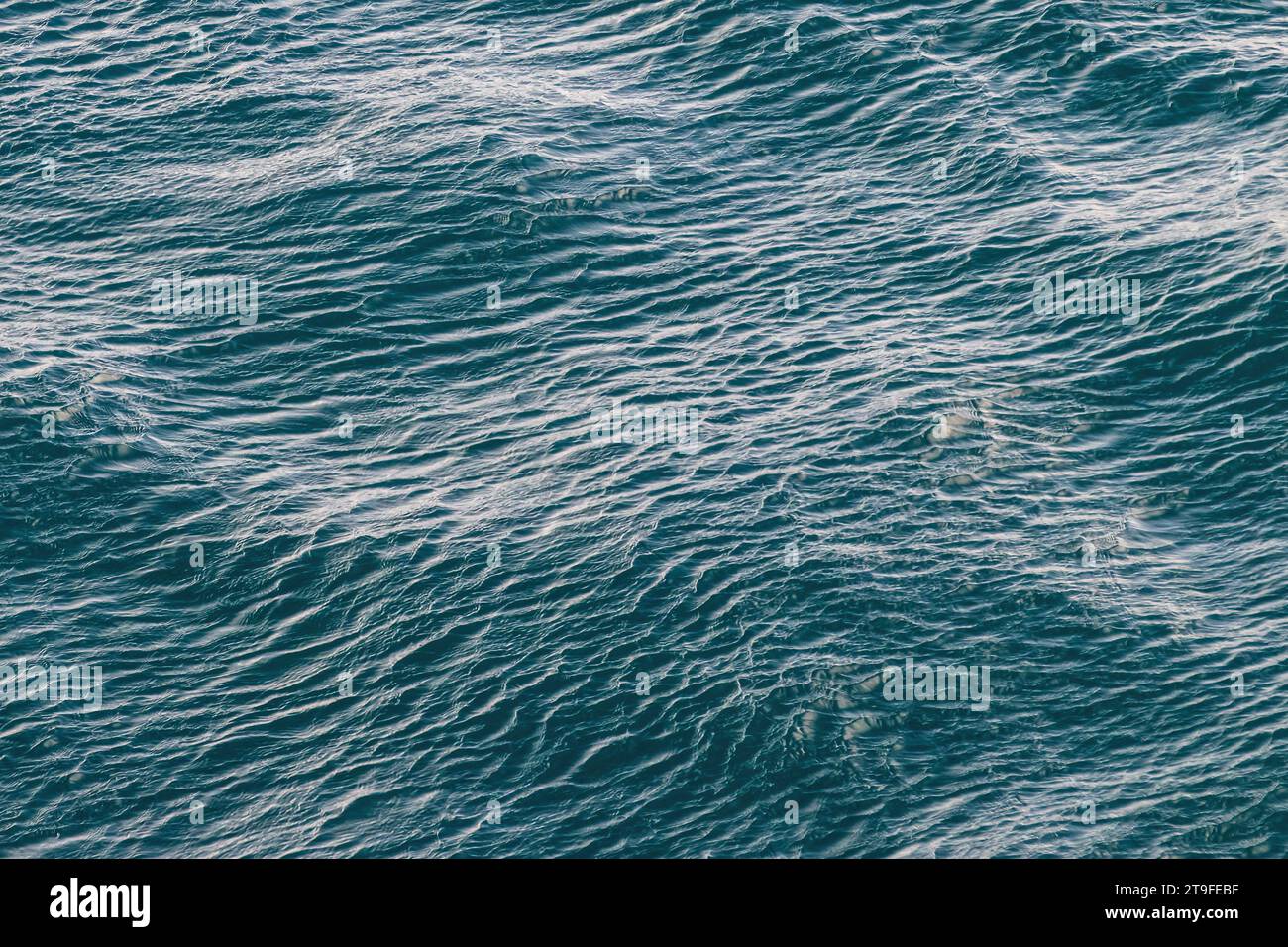 Nahaufnahme, blauer Ozean in Patagonien. Gewelltes Muster vom Wind. Stockfoto