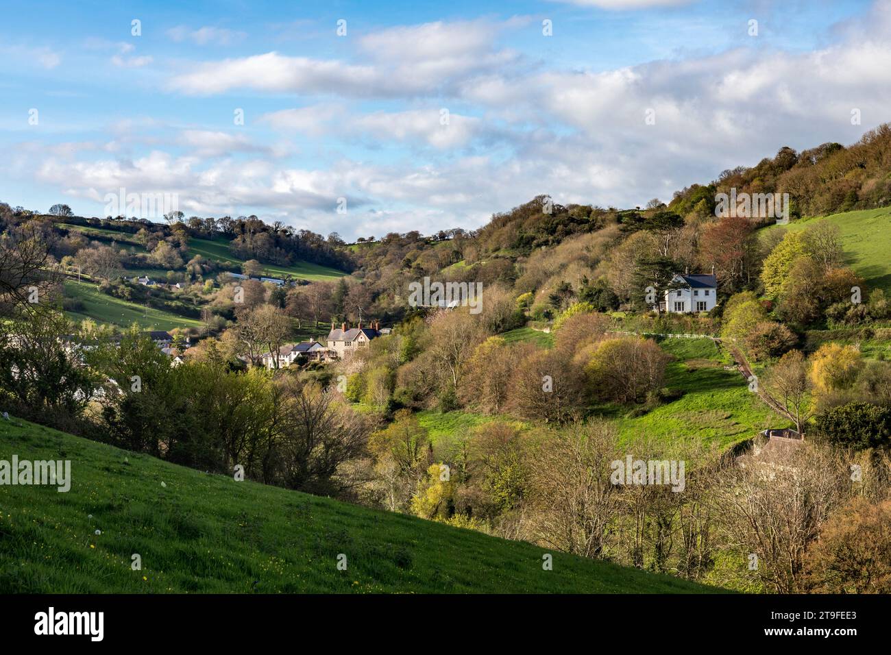 Branscombe; Devon; Großbritannien Stockfoto
