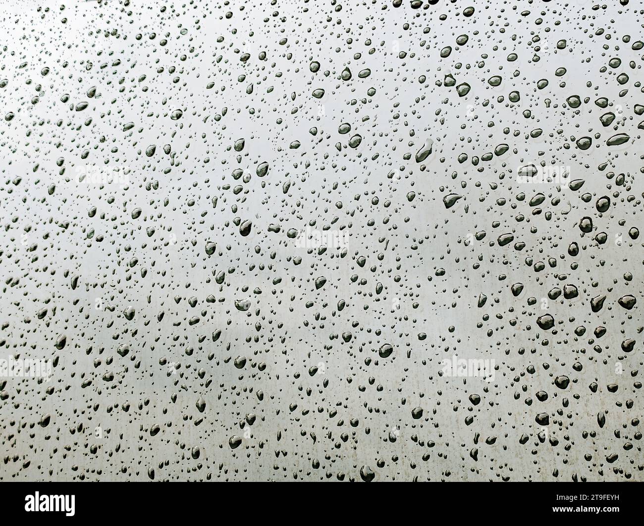 Wasser oder Regentropfen auf einem schwarzen Glas. Abstrakter Texturhintergrund. Stockfoto