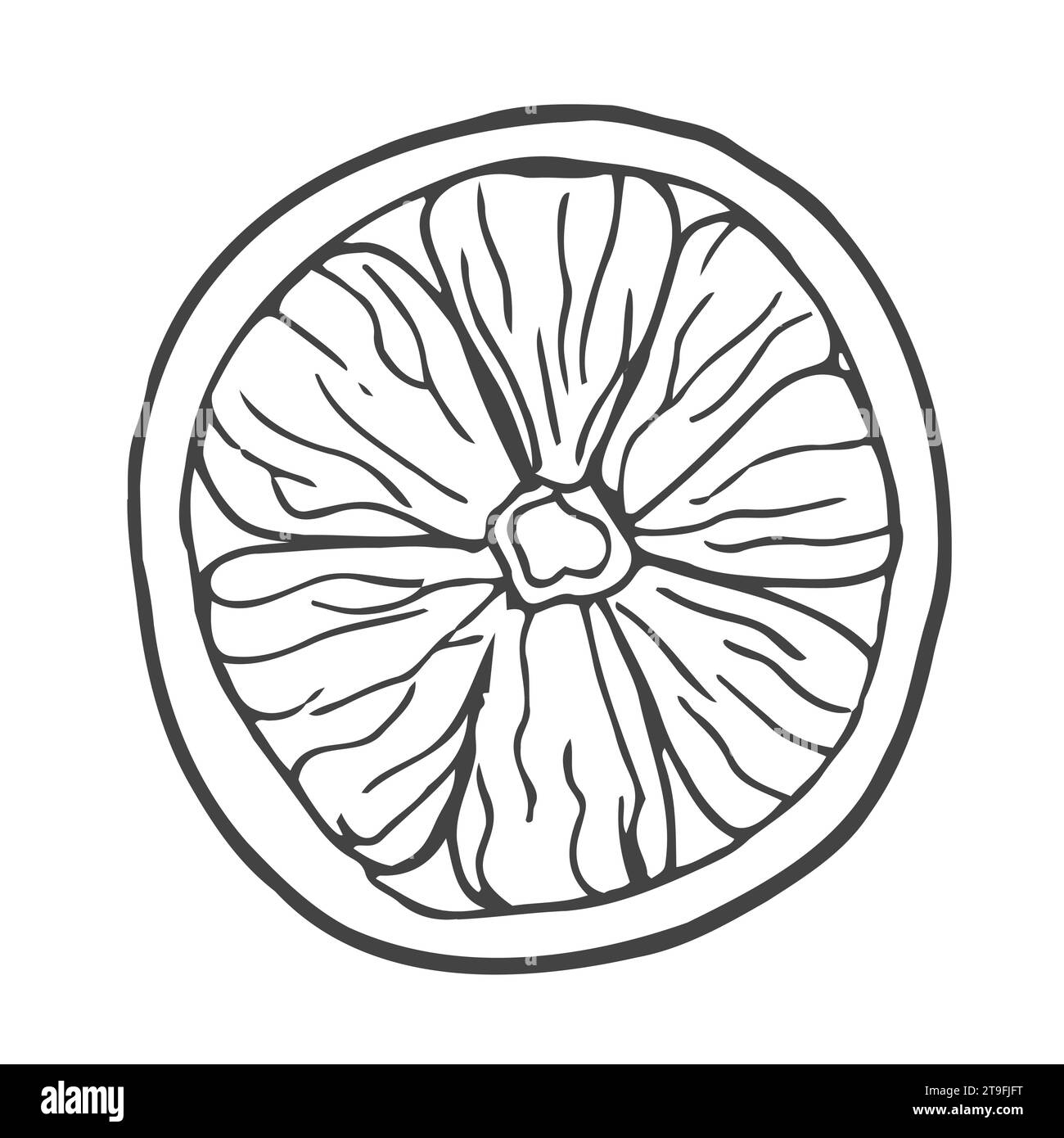 Eine Scheibe Zitrone auf weißem Hintergrund Vektor-Illustration. Stoffdesign, Tapeten, Verpackung, Textilien, Papier, Karten Stock Vektor