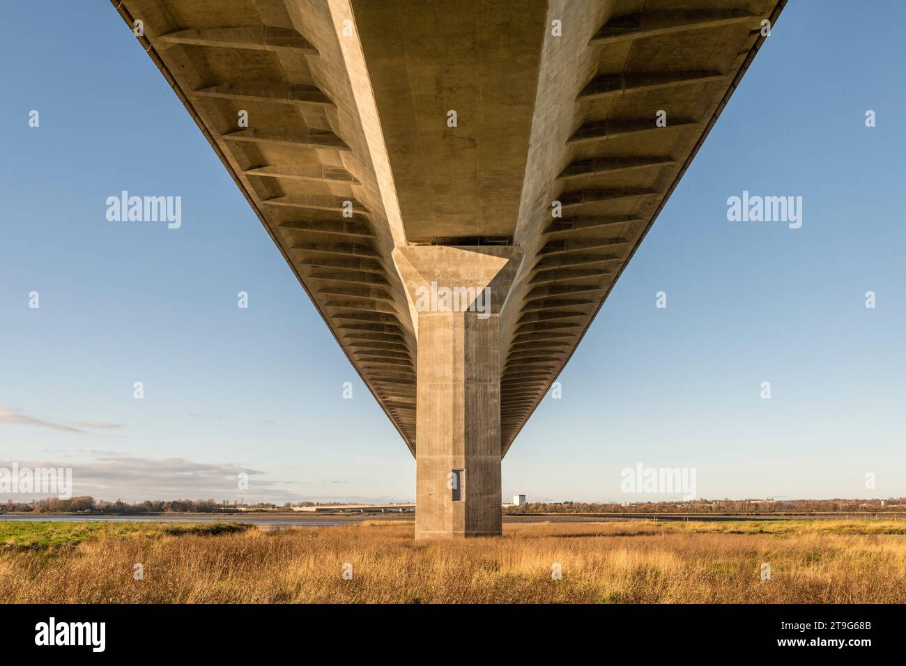 Ein Blick unter der Mersey Gateway Bridge, die den Mersey River und den Manchester Ship Canal überquert und die Städte Runcorn und Widnes verbindet, beide in Cheshire, Großbritannien. Es wurde 2017 eröffnet und ist mit Kabelbäumen ausgestattet. Die Aussicht ist von Wigg Island, heute ein gemeinschaftliches Naturschutzgebiet Stockfoto