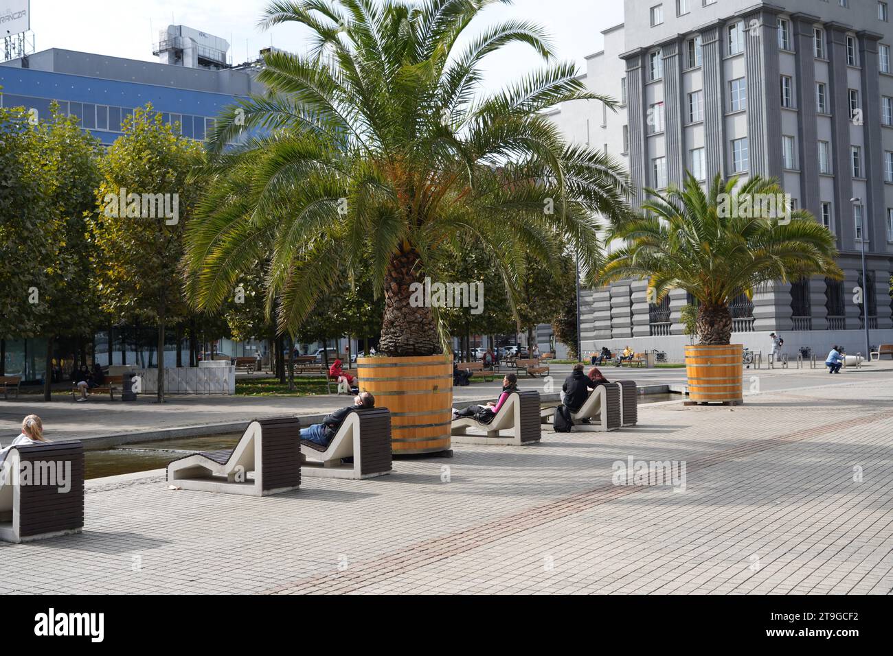 Palmen in der Mitte der Stadt, Fußgängerzone im Stadtzentrum mit Sitzplätzen auf einem hölzernen Liegestuhl Stockfoto