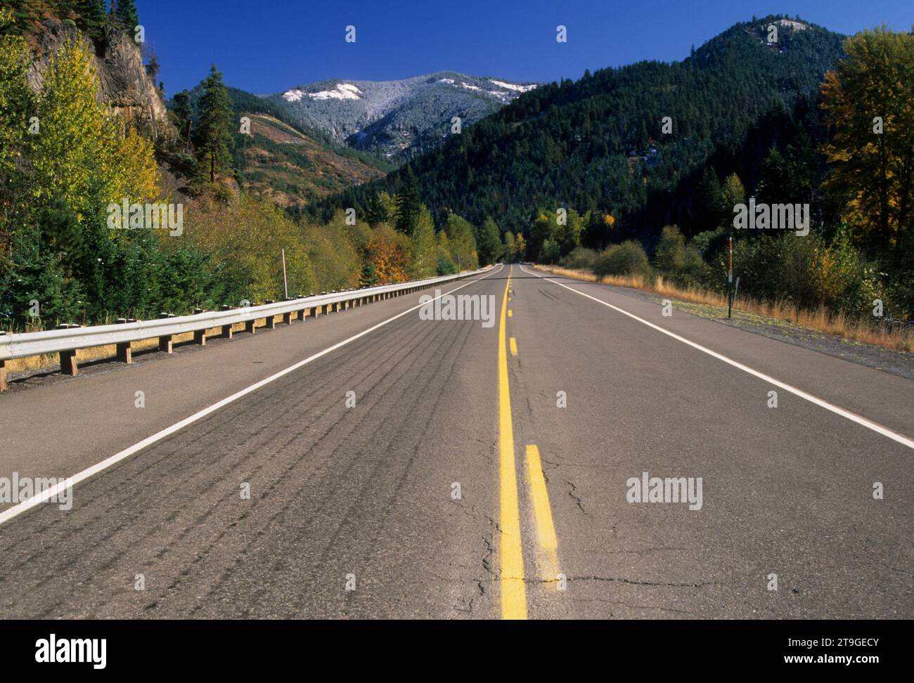 ODER Highway 35, Mt Hood National Forest, Oregon Stockfoto