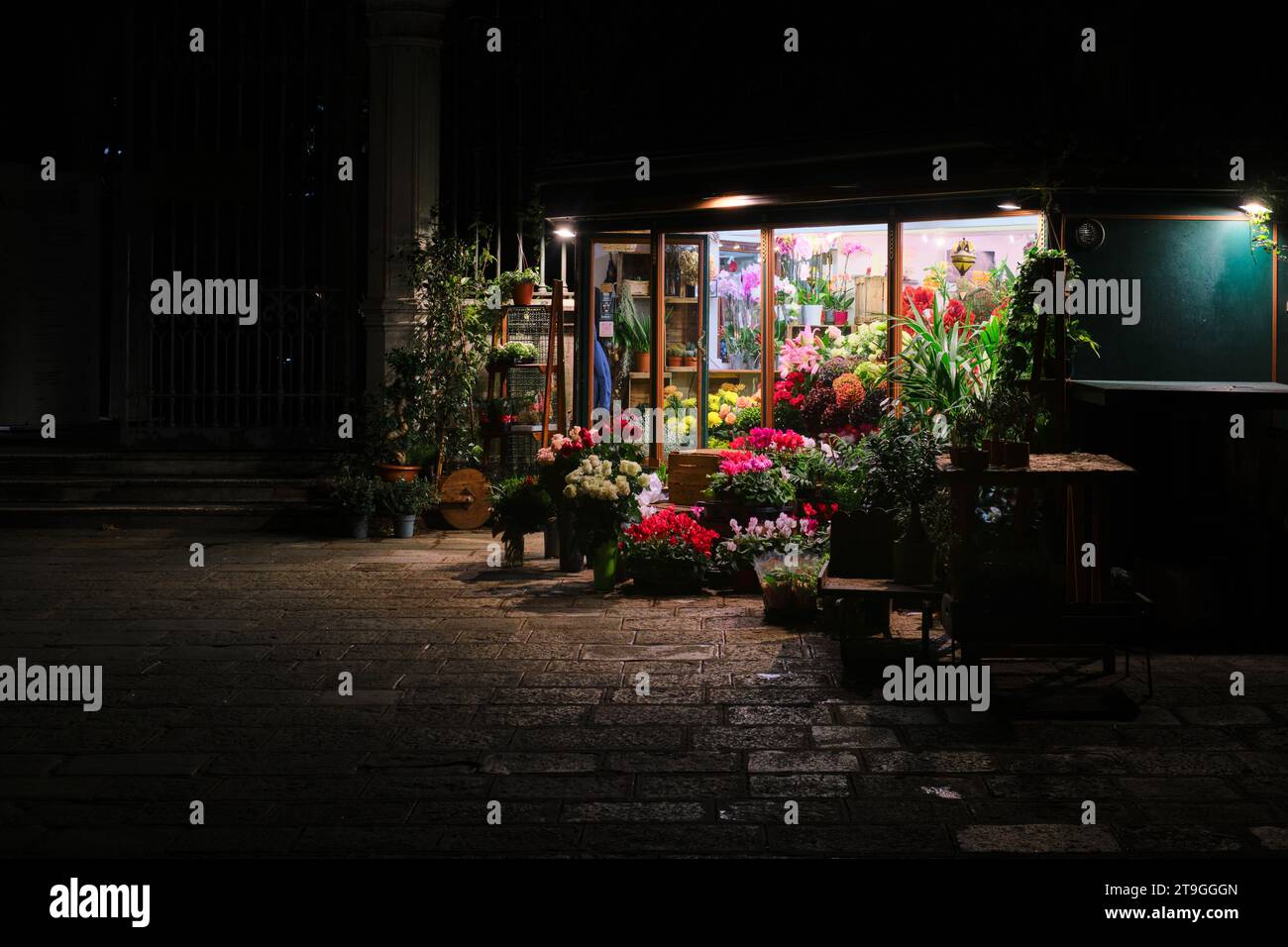 Venedig, Italien - 9. November 2023: Blumenladen mit einer wunderschönen Ausstellung der Nacht in einer dunklen Gasse Stockfoto