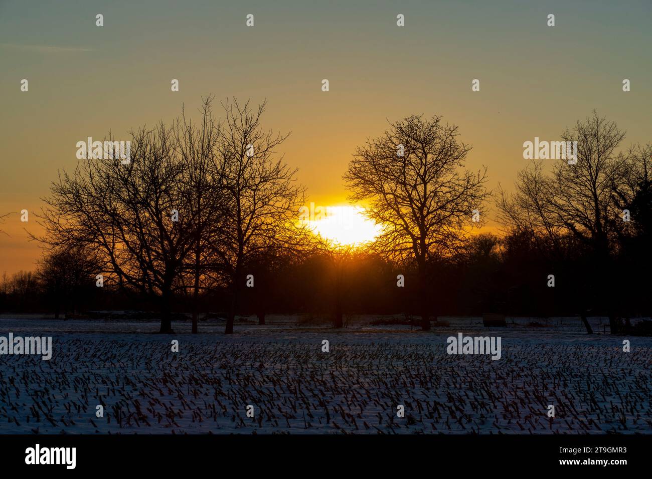 Sonnenuntergang auf einer verschneiten Wiese nahe Baden-Baden Stockfoto