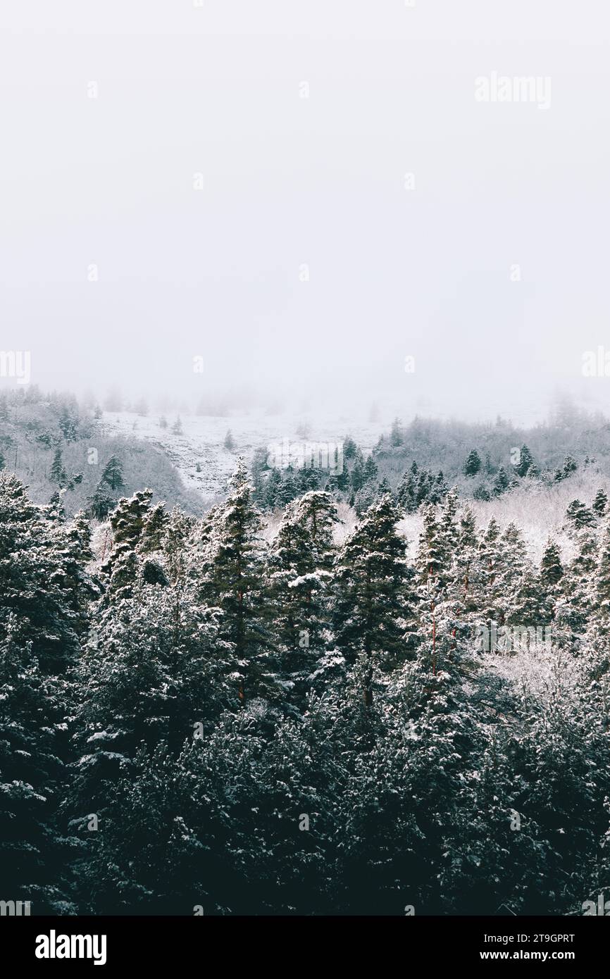 Eine große Nebelwolke bedeckt den Gipfel eines schneebedeckten Berges. Stockfoto