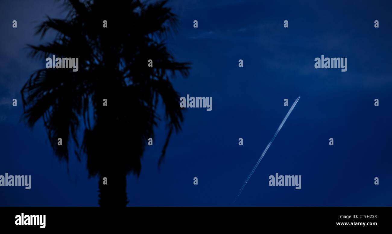 Palme in Silhouette mit einem Flugzeug, das hoch darüber vorbeizieht und einen leuchtenden Kondensationspfad über dem tiefblauen Abendhimmel hinterlässt. Stockfoto