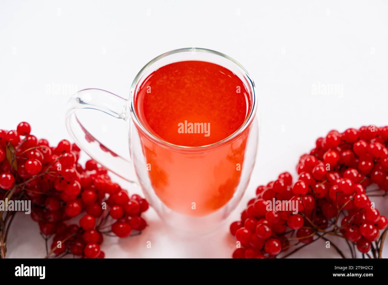 Heißer Viburnum-Tee in einer Glasschale mit doppeltem Boden auf weißem Hintergrund. Stockfoto