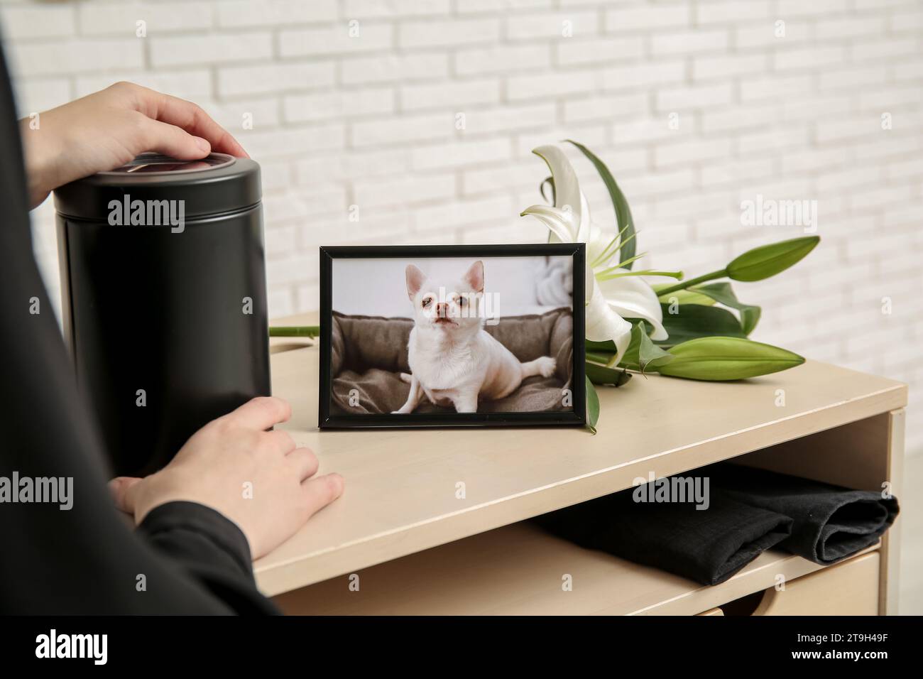 Frau mit Leichenurne, Bild von Hund und Lilienblüten auf Tisch in der Nähe der weißen Ziegelwand, Nahaufnahme. Haustierbeerdigung Stockfoto