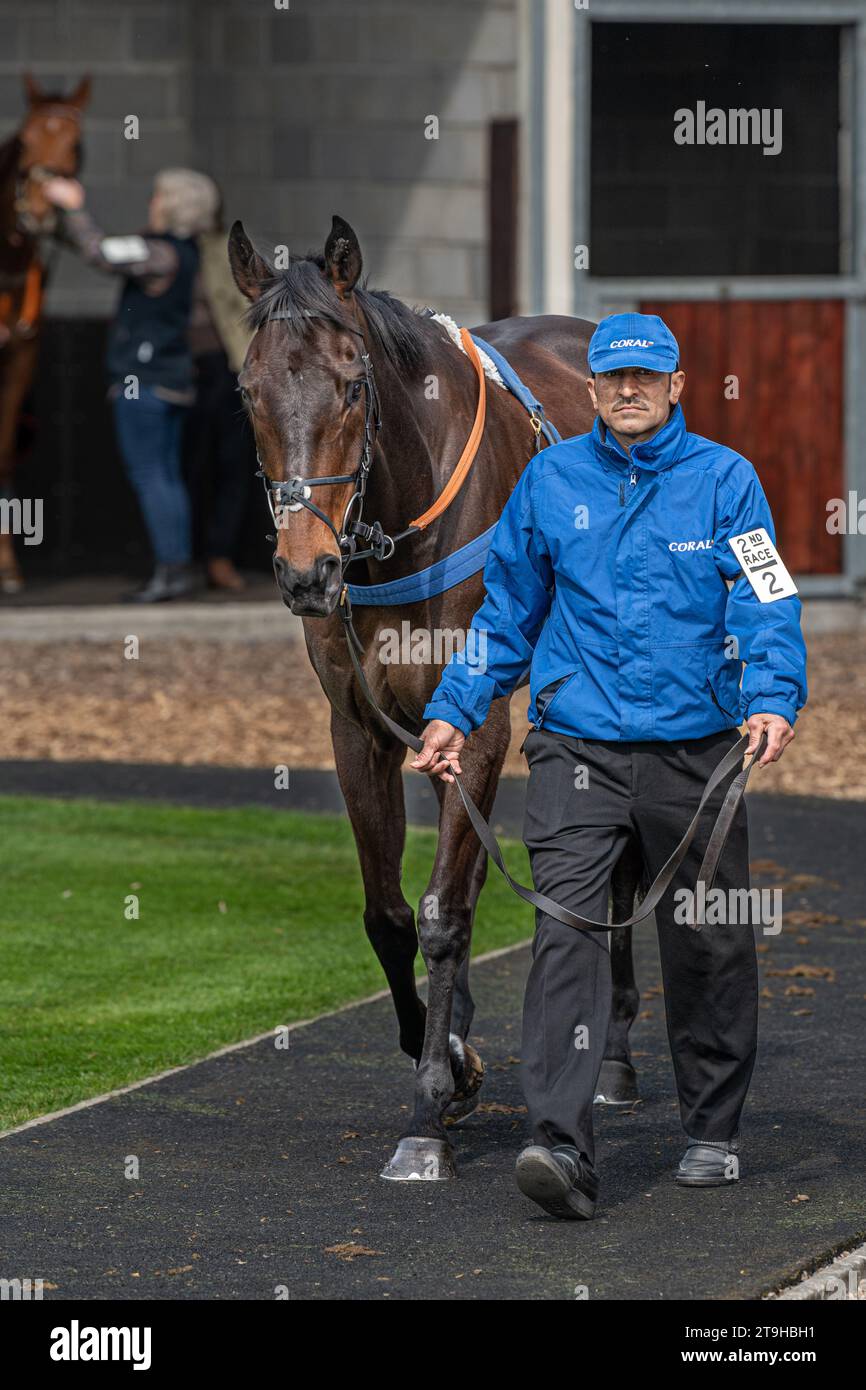 Rectory Oak, Sieger des 2. Rennens in Wincanton Stockfoto