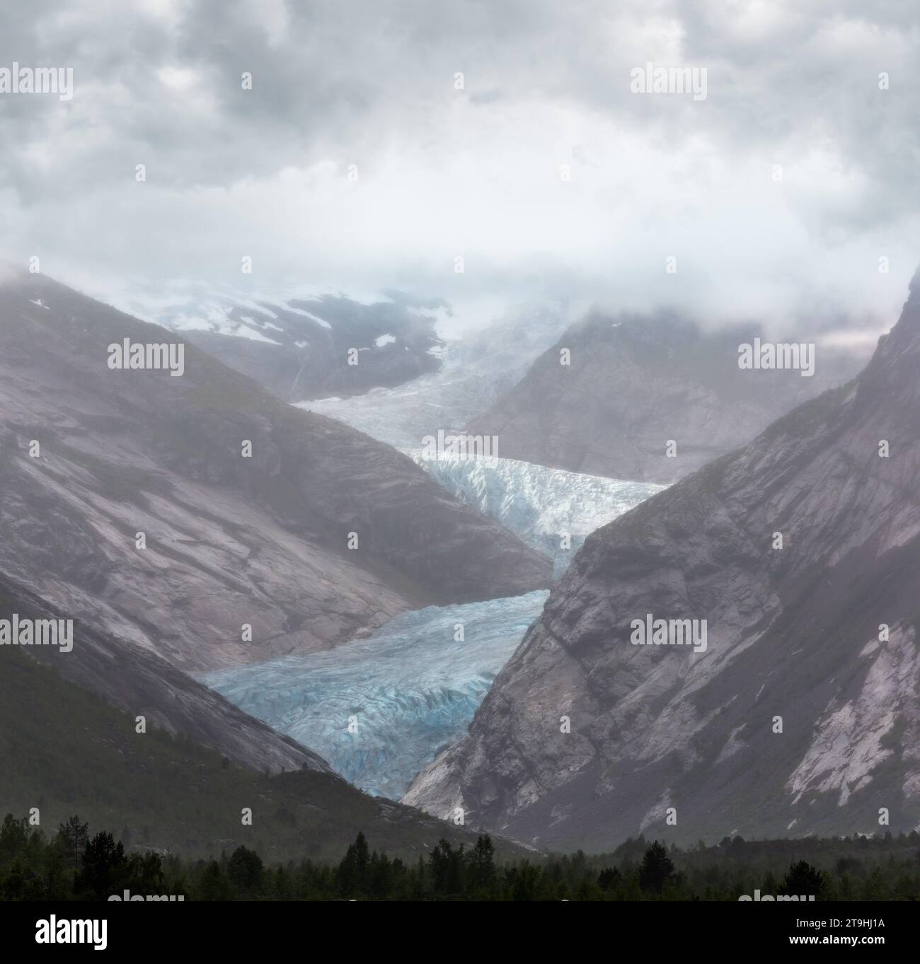 Sommer bedeckt, Nigardsbreen Gletscher Jostedalsbreen, Norwegen Stockfoto