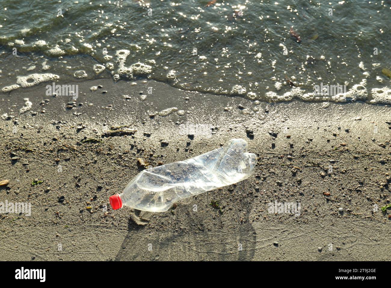 Benutzte Plastikflasche in der Nähe des Wassers am Strand. Umweltverschmutzung Stockfoto
