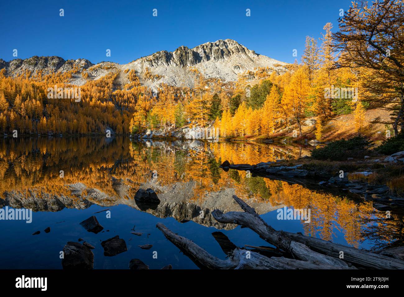 WA23807-00...WASHINGTON - Switchback Mountain reflektiert im Cooney Lake; Okanogan National Forest. Stockfoto