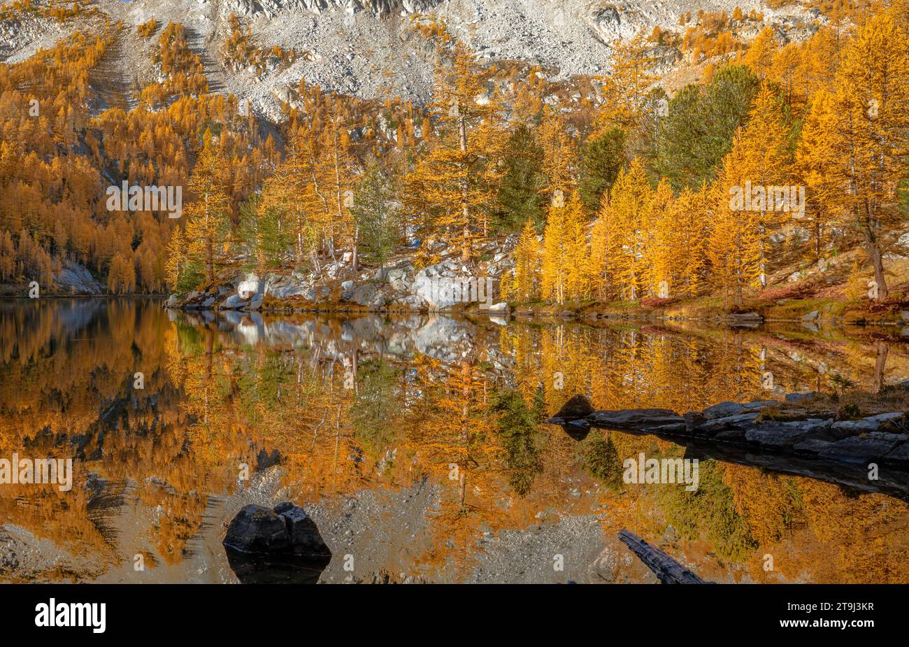 WA23808-00...WASHINGTON - Herbstfarbe reflektiert in den stillen Gewässern des Cooney Lake im Okanogan-Wenatchee National Forest Stockfoto