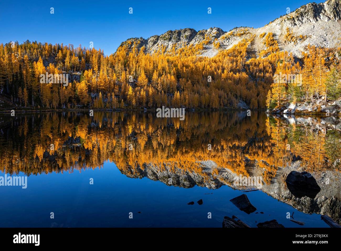 WA23809-00...WASHINGTON - Herbstfarbe reflektiert in den stillen Gewässern des Cooney Lake im Okanogan-Wenatchee National Forest Stockfoto