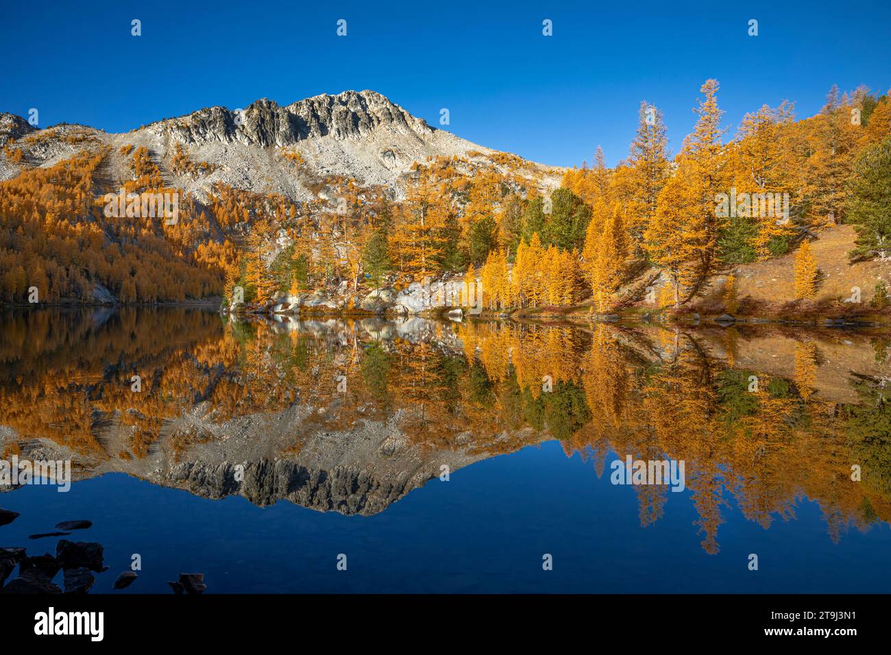 WA23810-00...WASHINGTON - Herbstfarbe reflektiert im stillen Wasser des Cooney Lake im Okanogan-Wenatchee National Forest Stockfoto