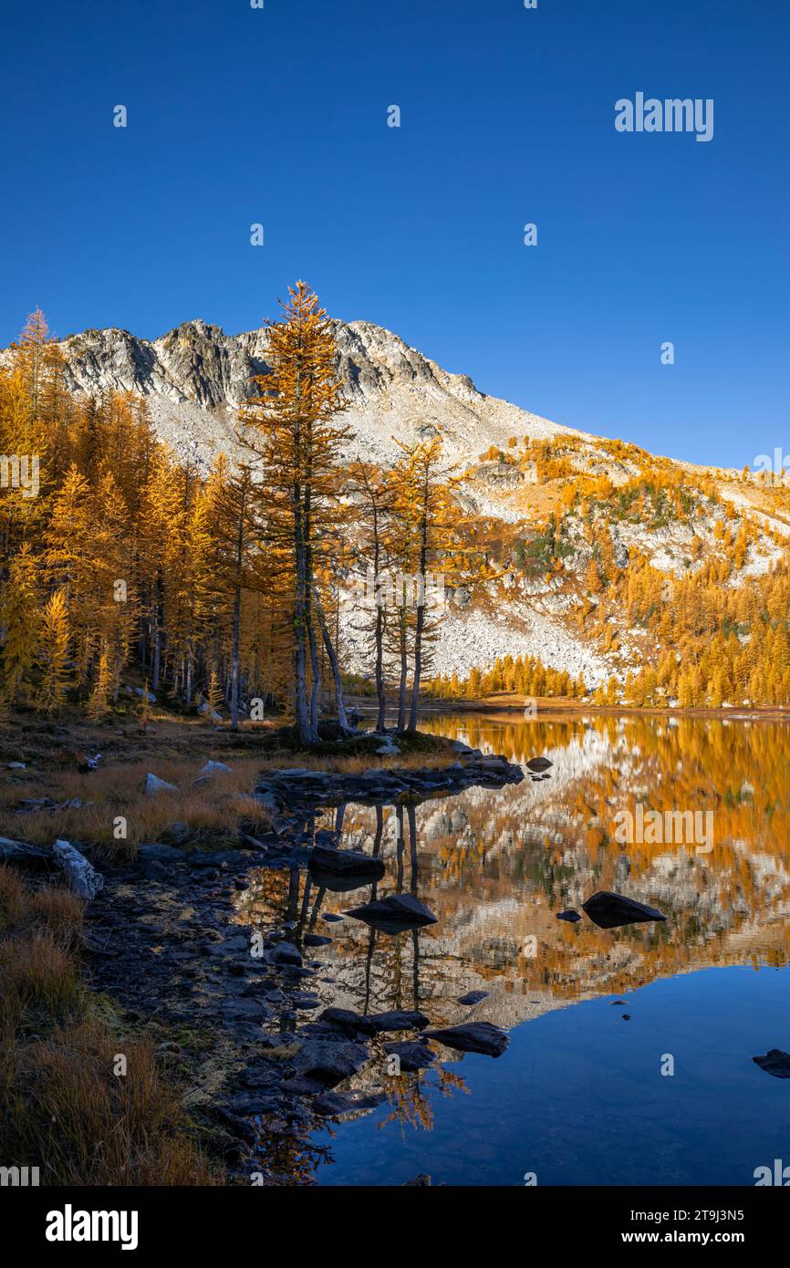 WA23811-00...WASHINGTON - Herbstfarbe reflektiert unterhalb des Switchback Mountain im stillen Wasser des Cooney Lake; Okanogan-Wenatchee National Forest Stockfoto