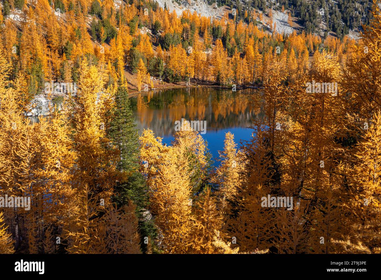 WA23813-00...WASHINGTON - Herbstzeit am Cooney Lake in den North Cascades und im Okanogan National Forest. Stockfoto