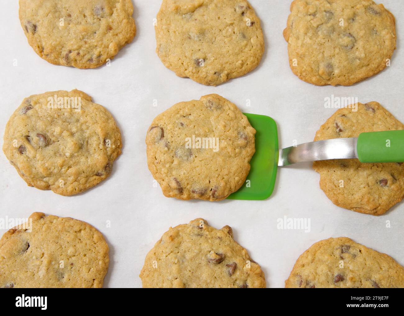 Reihen frisch gebackener Haferflocken-Schokoladen-Chip-Cookies auf Pergamentpapier, grüner Silikonspachtel, der einen Keks vom Backblech hebt. Stockfoto