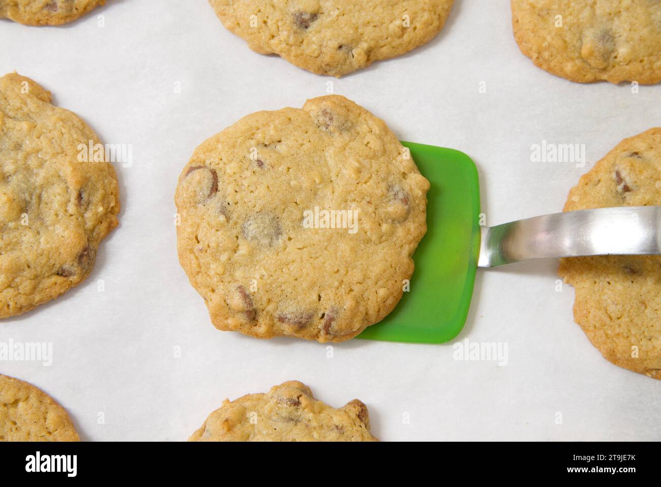 Reihen frisch gebackener Haferflocken-Schokoladen-Chip-Cookies auf Pergamentpapier, grüner Silikonspachtel, der einen Keks vom Backblech hebt. Stockfoto