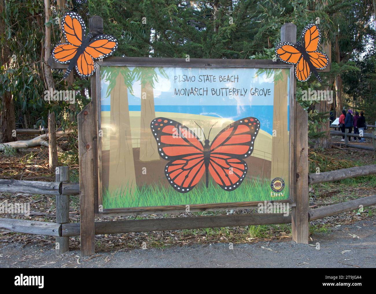 Pismo Beach, CA - 18. Dezember 2022: Schild am Pismo State Beach Monarch Butterfly Grove. Eukalyptusbaumhain mit Tausenden von Monarchbutterarten Stockfoto